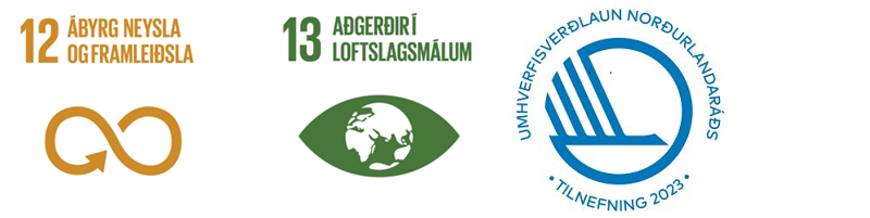 Heimsmarkmið 12 og 13