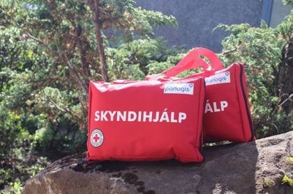 Skyndihjalp